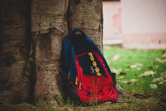 Precio de una mochila en México. SQbags.
