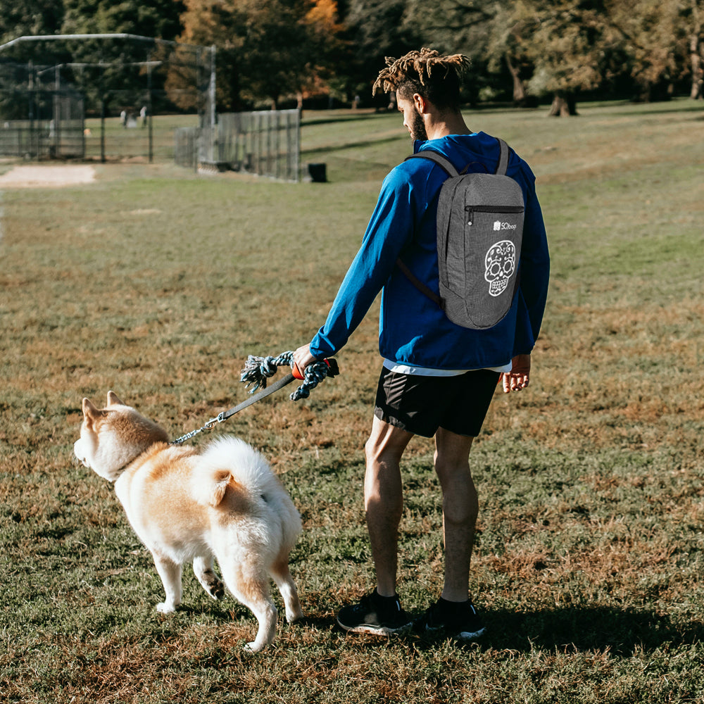 Backpack Fun Day Tour Gris